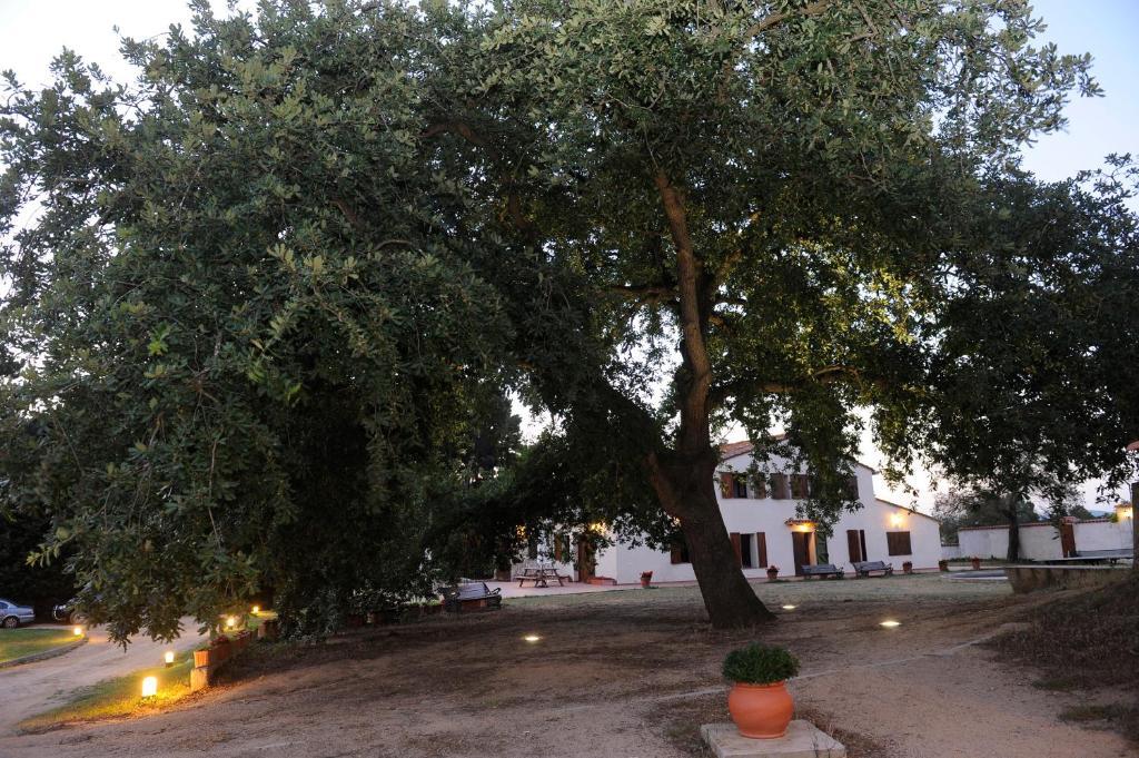 Allotjaments Rurals Vallplana Country house Malgrat de Mar