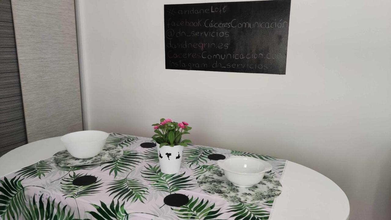 Aridane Loft * Los Llanos De Aridane