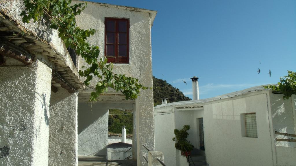 Country house Pamparural Pampaneira