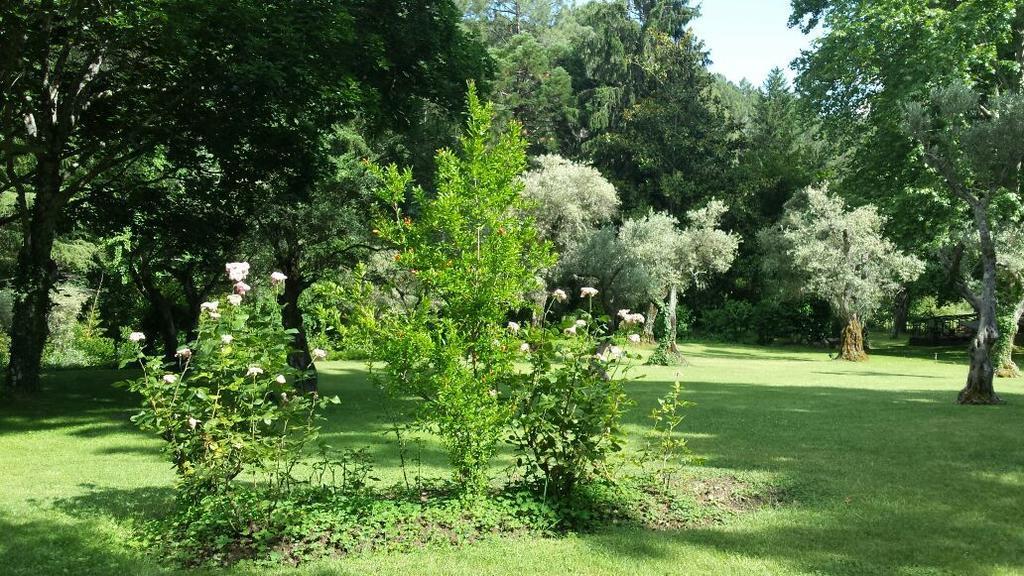Rancho La Herradura Arenas de San Pedro