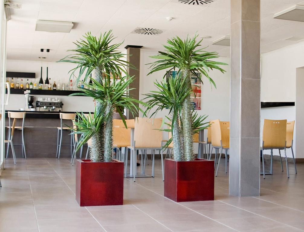 Hotel Grupoandria Platja Gran Ciutadella (Menorca)