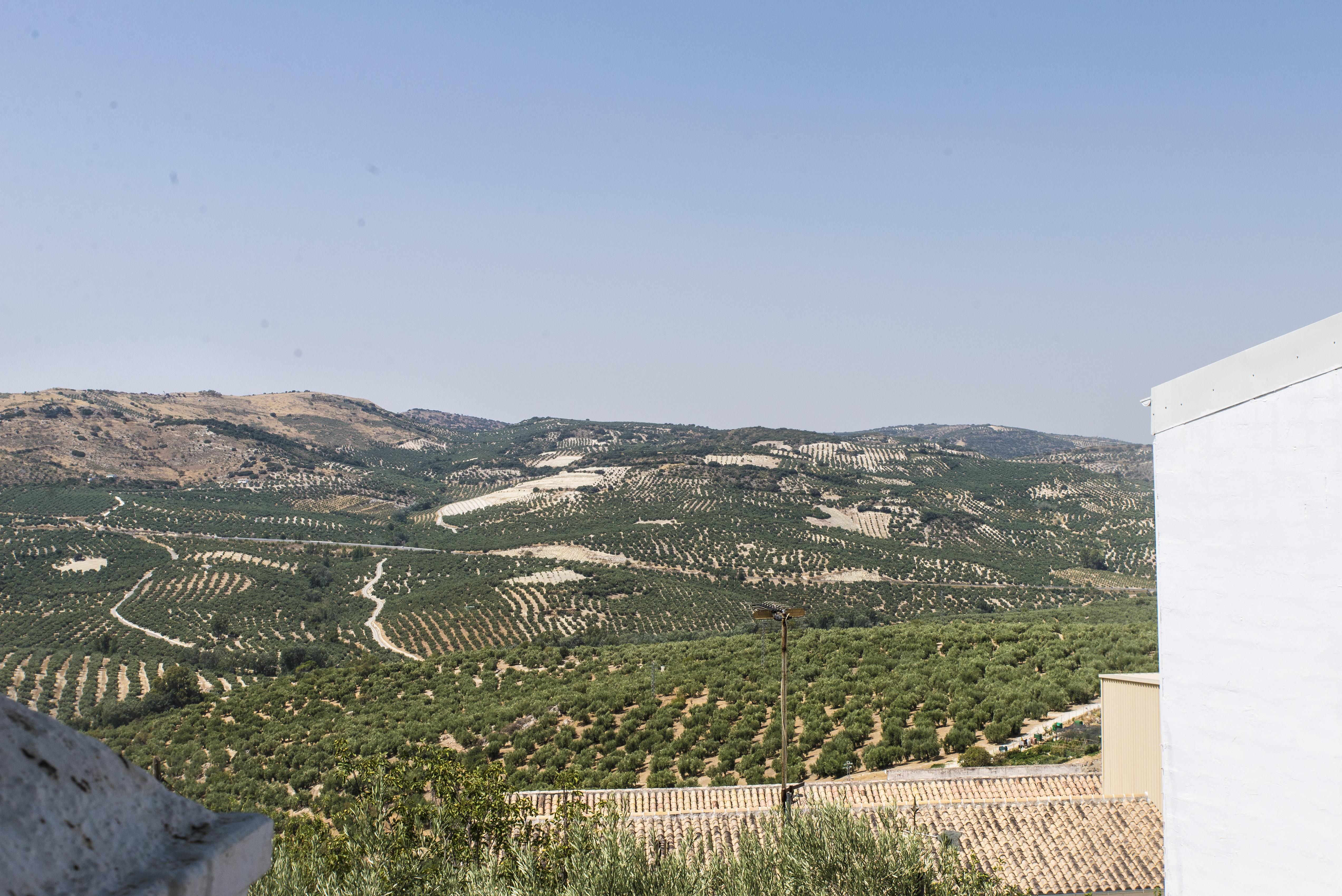 Zuhayra Hotel 2*