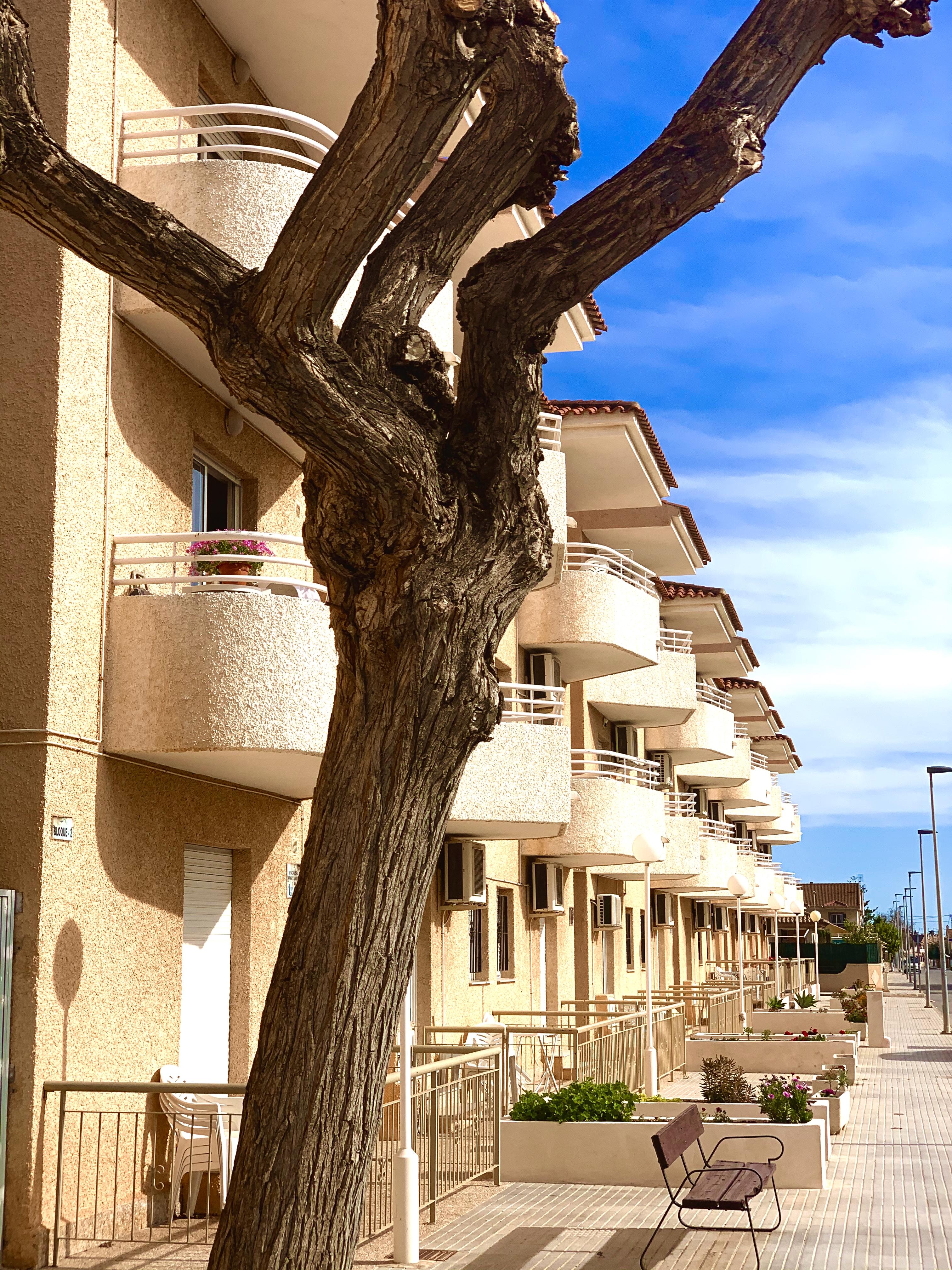 Destino De Sol De Alcazares Apartment *