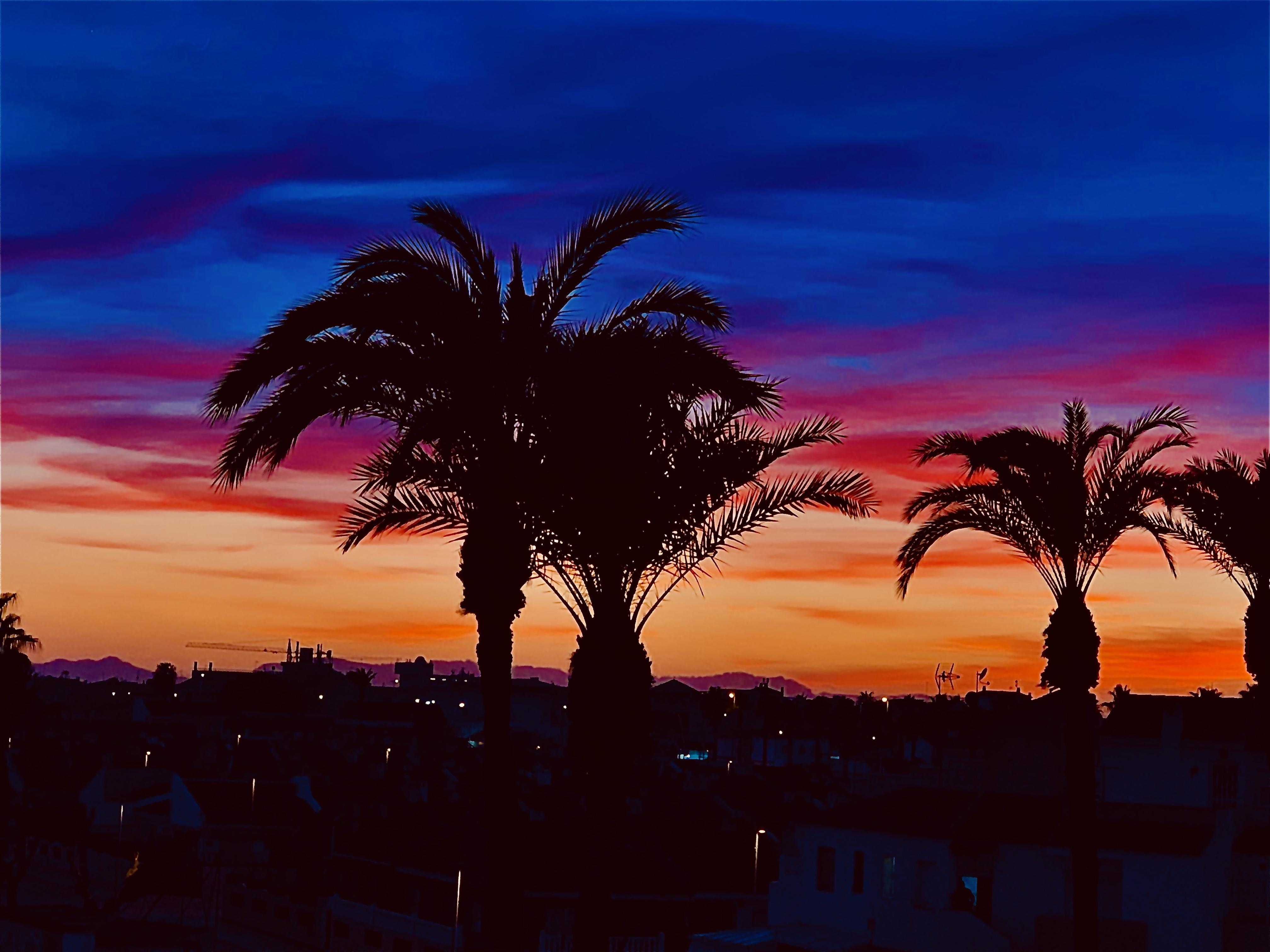 Destino De Sol De Alcazares * Los Alcazares