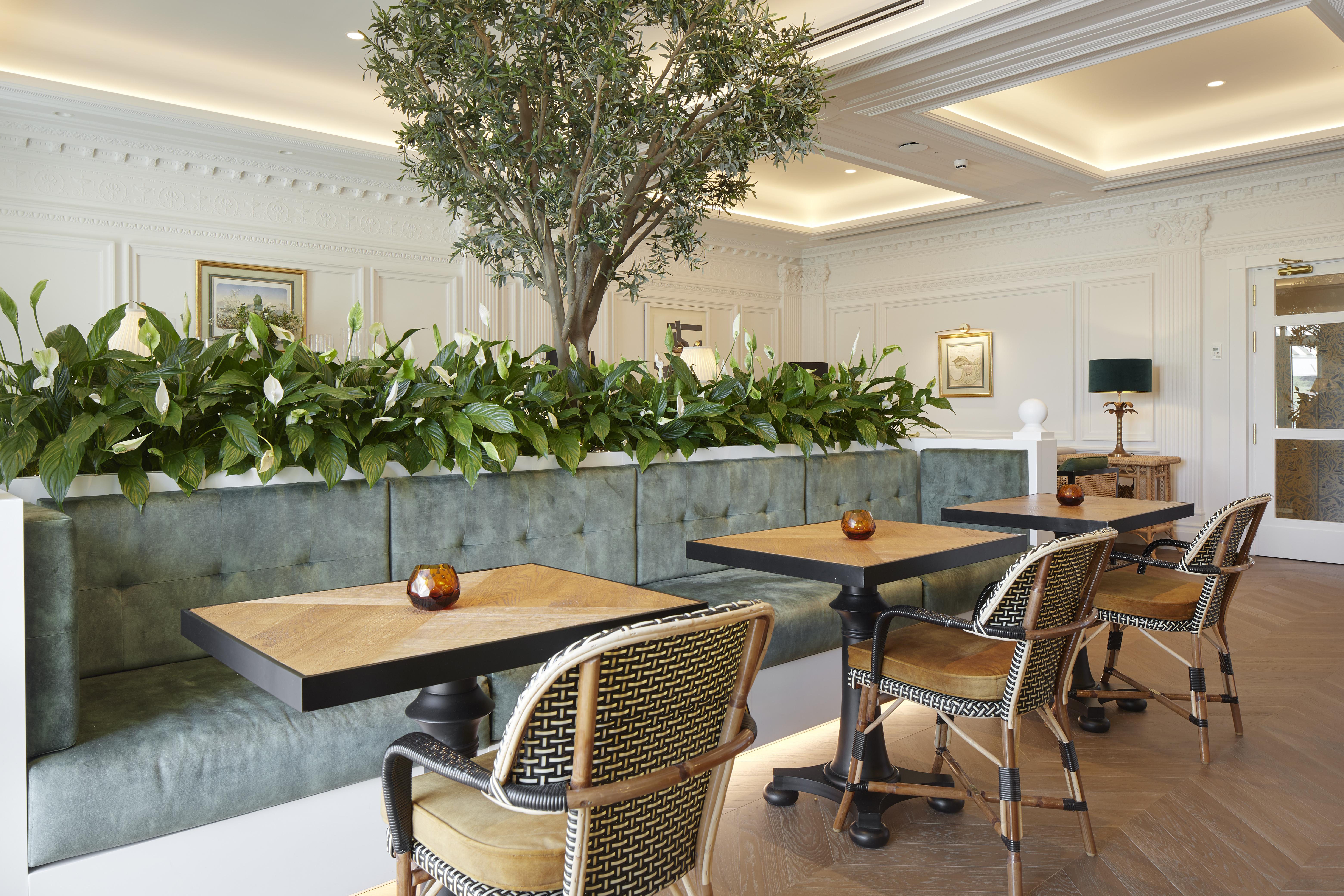 Boutique Favorita Hotel