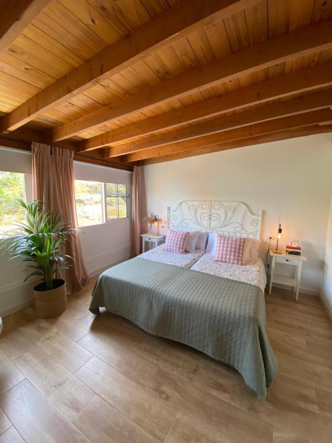 Apartamento Acogedor En El Norte De La Isla * Icod De Los Vinos
