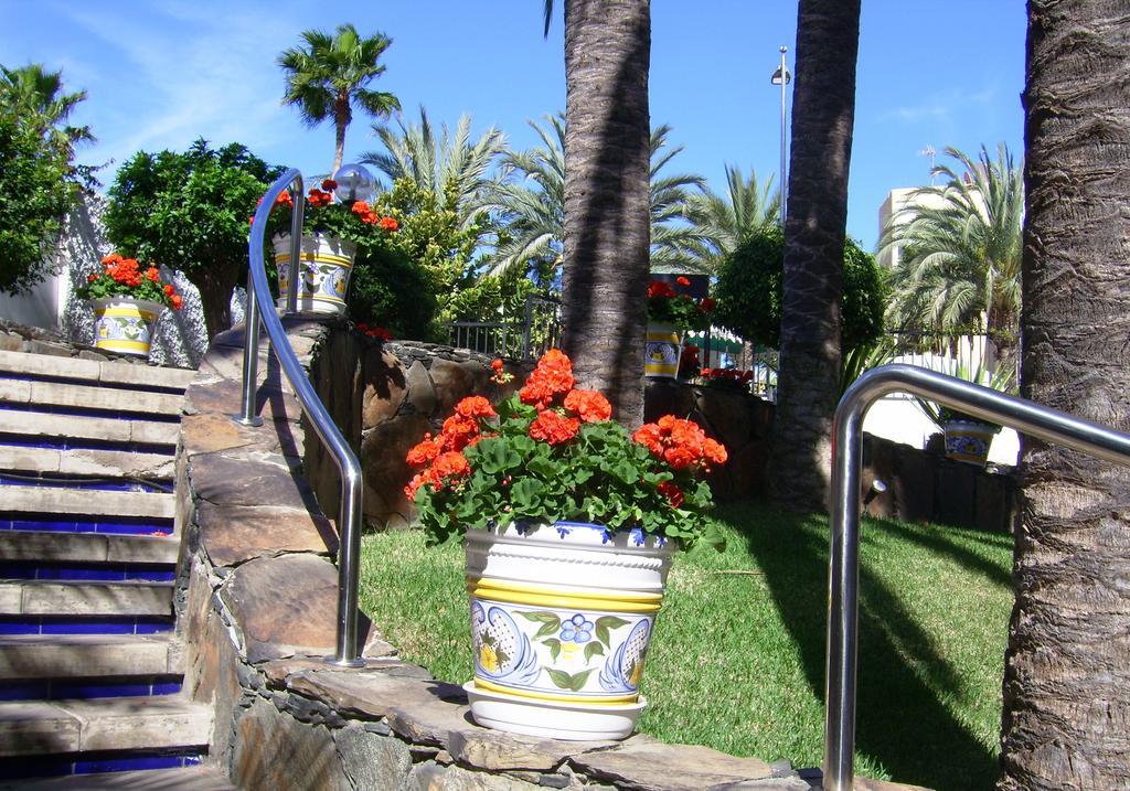 Apartamentos Tamaragua Playa del Ingles (Gran Canaria)
