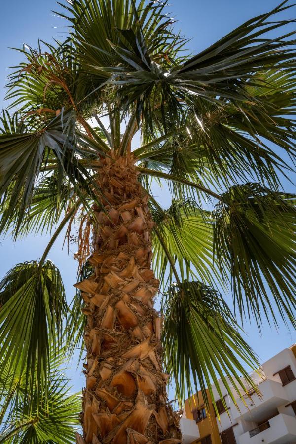 Palms La Recoleta Punta Prima Apartamento *
