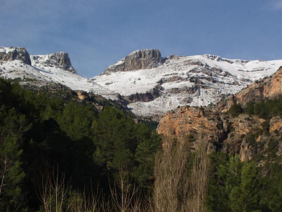Encinas
