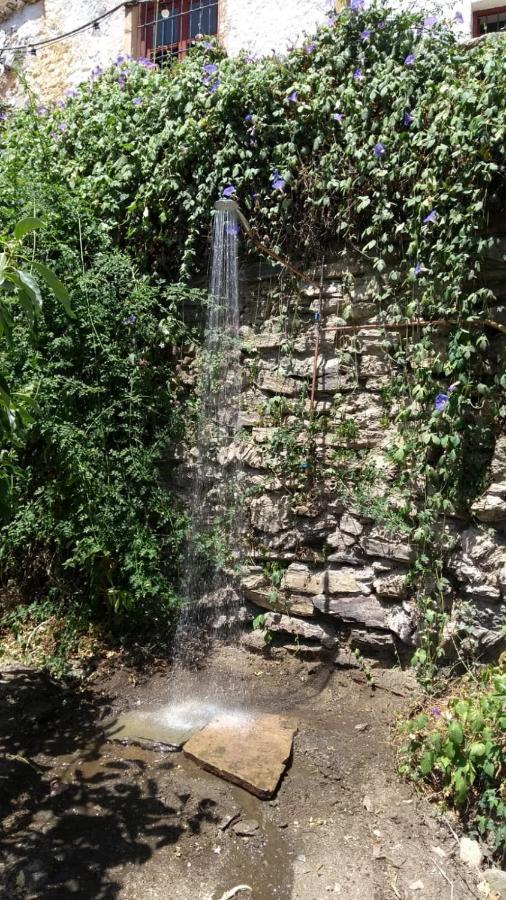 Casa Amigos - La Almendra Sorvilan