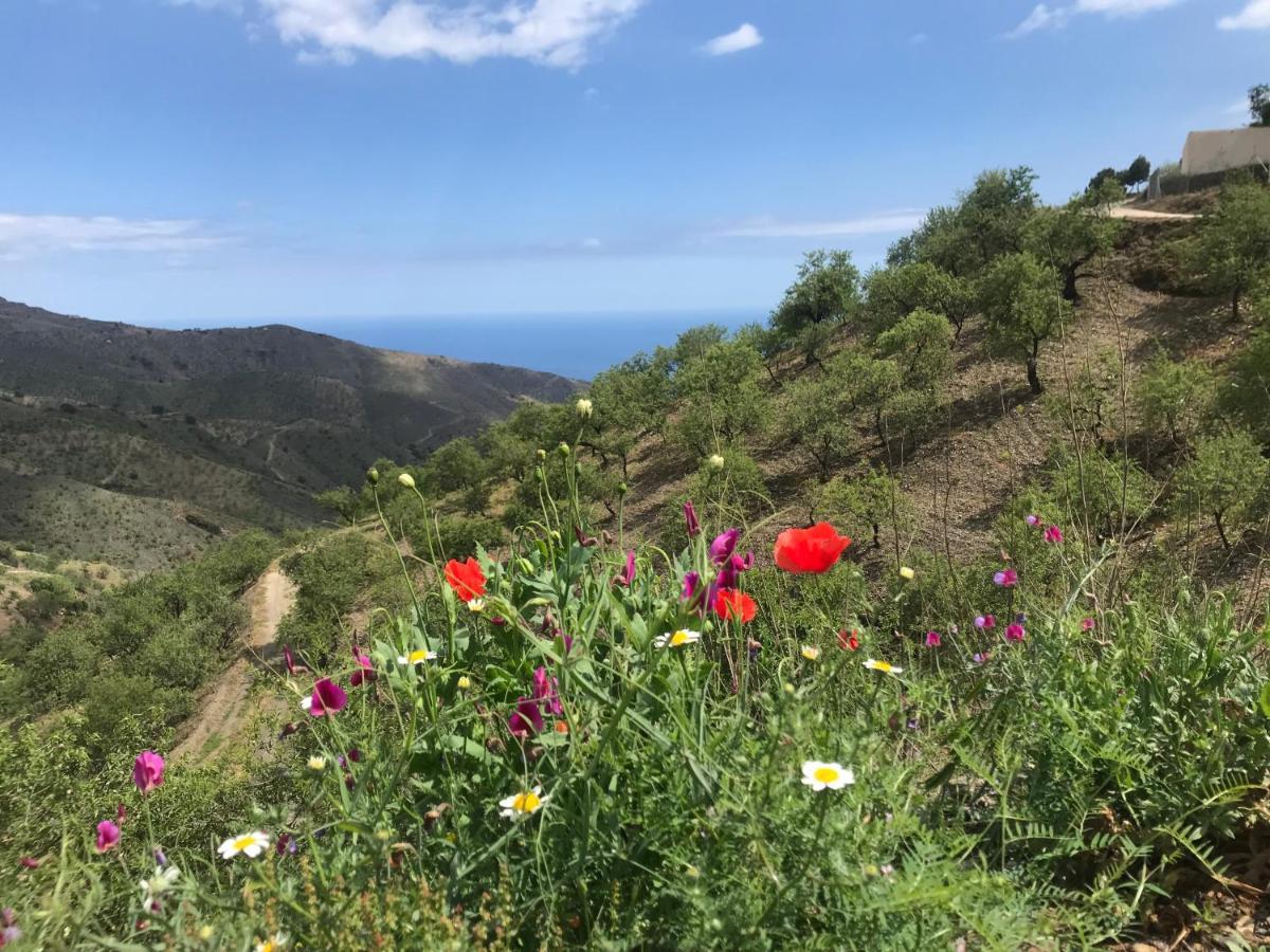 Casa Amigos - La Almendra Holiday home Sorvilan