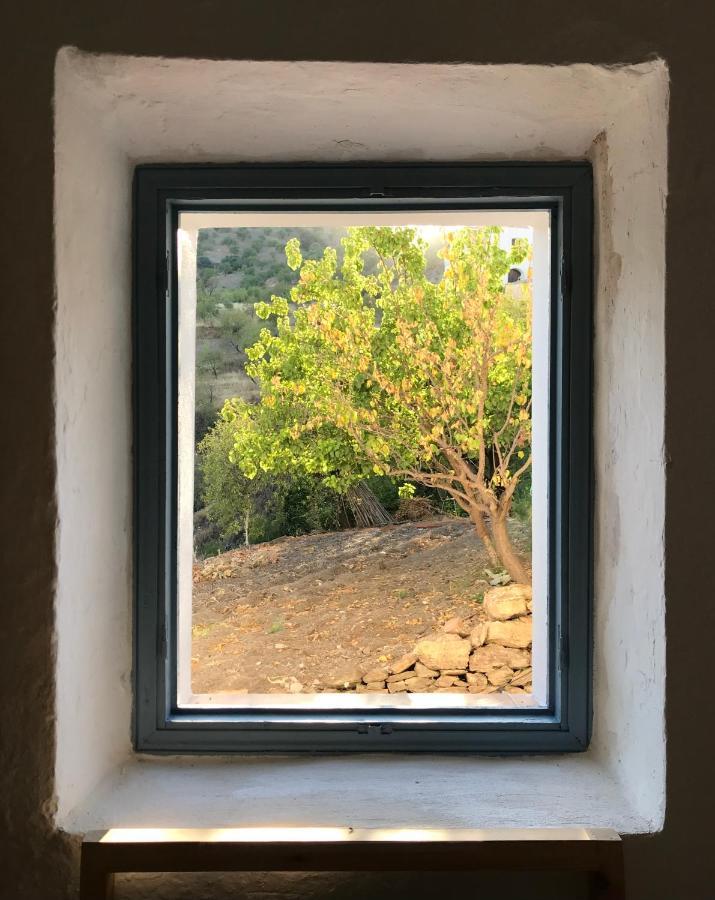 Holiday home Casa Amigos - La Almendra
