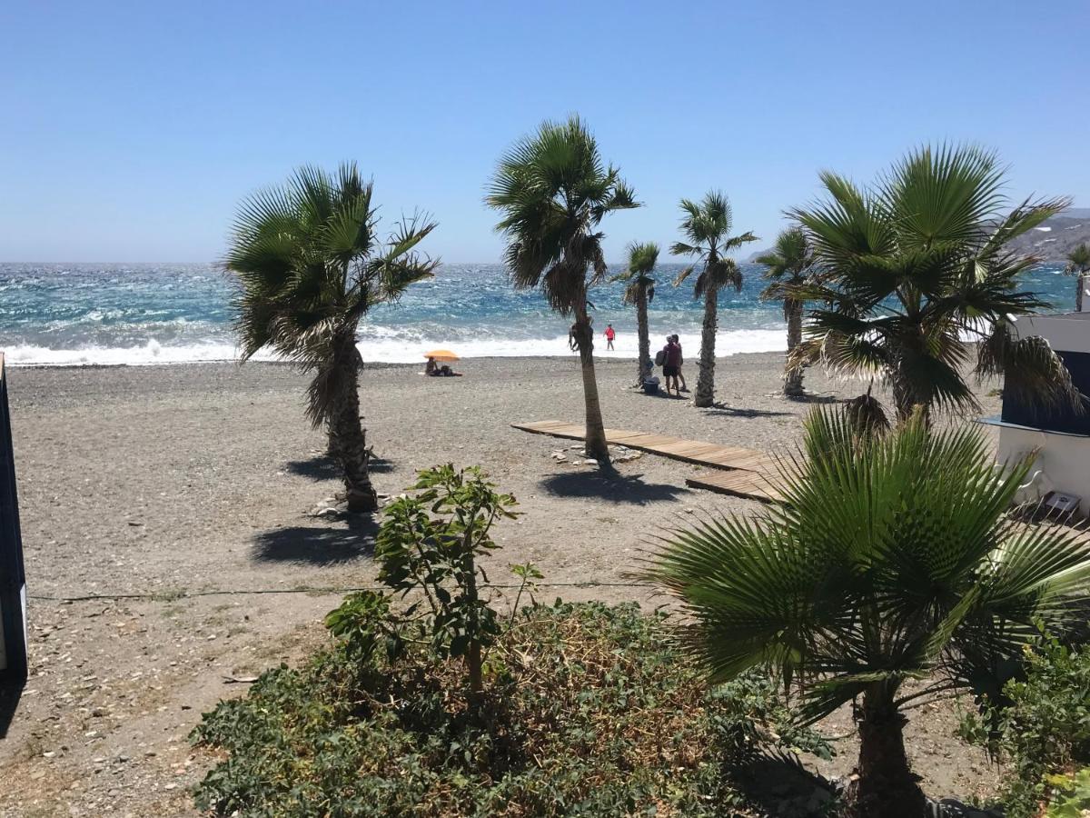 Casa Amigos - La Almendra