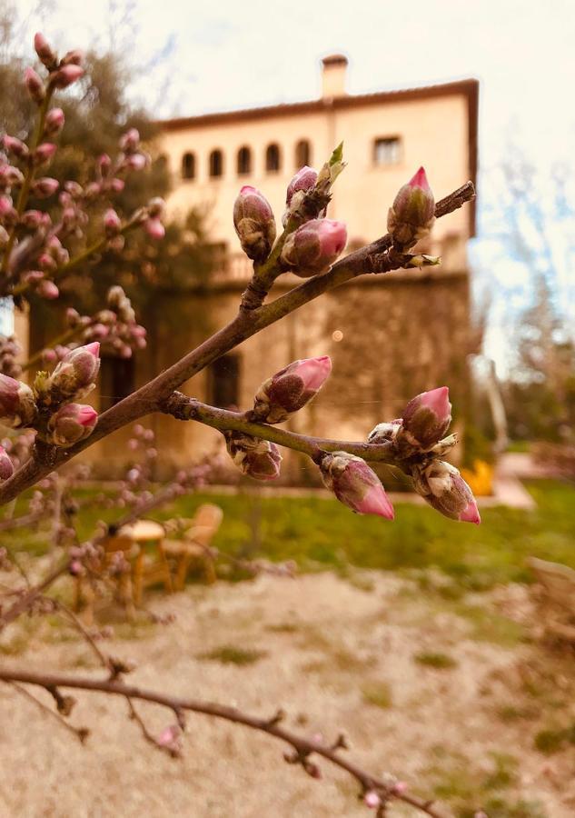Apartamento Codol De Fluvia - Casita Torroella de Fluvià