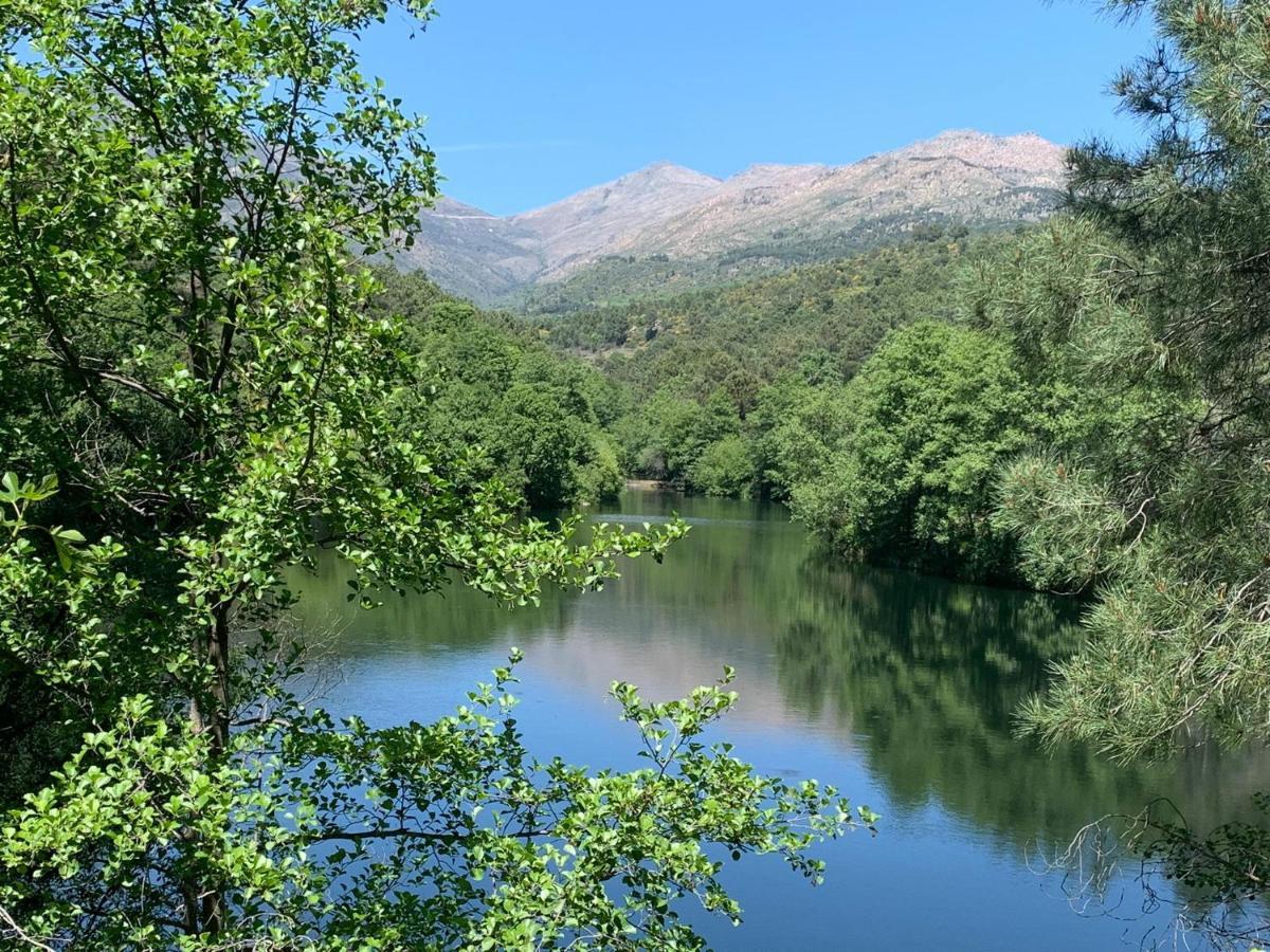 Lodge - Al Alba