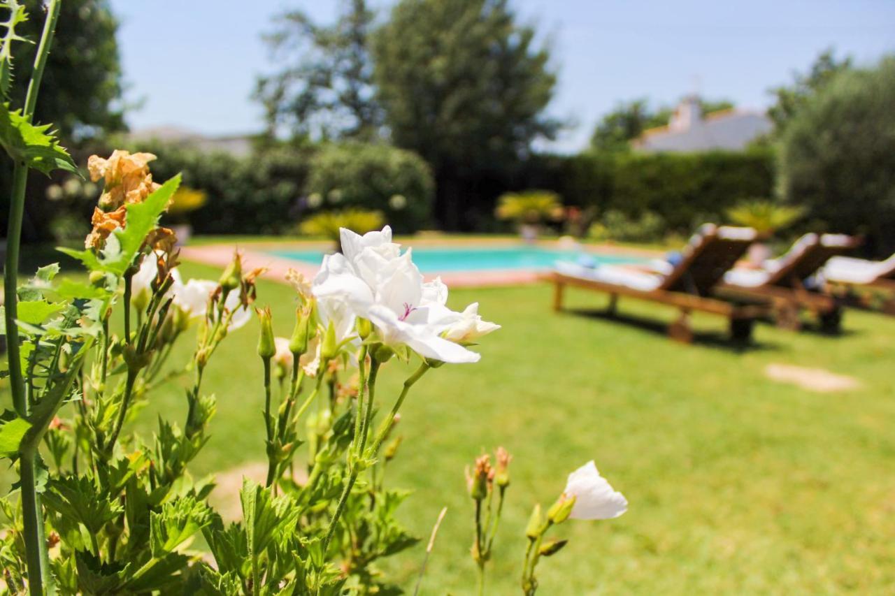 Casa Jazmin Villa *