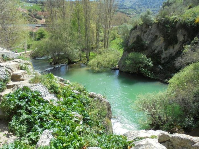 Casa Jazmin Arriate
