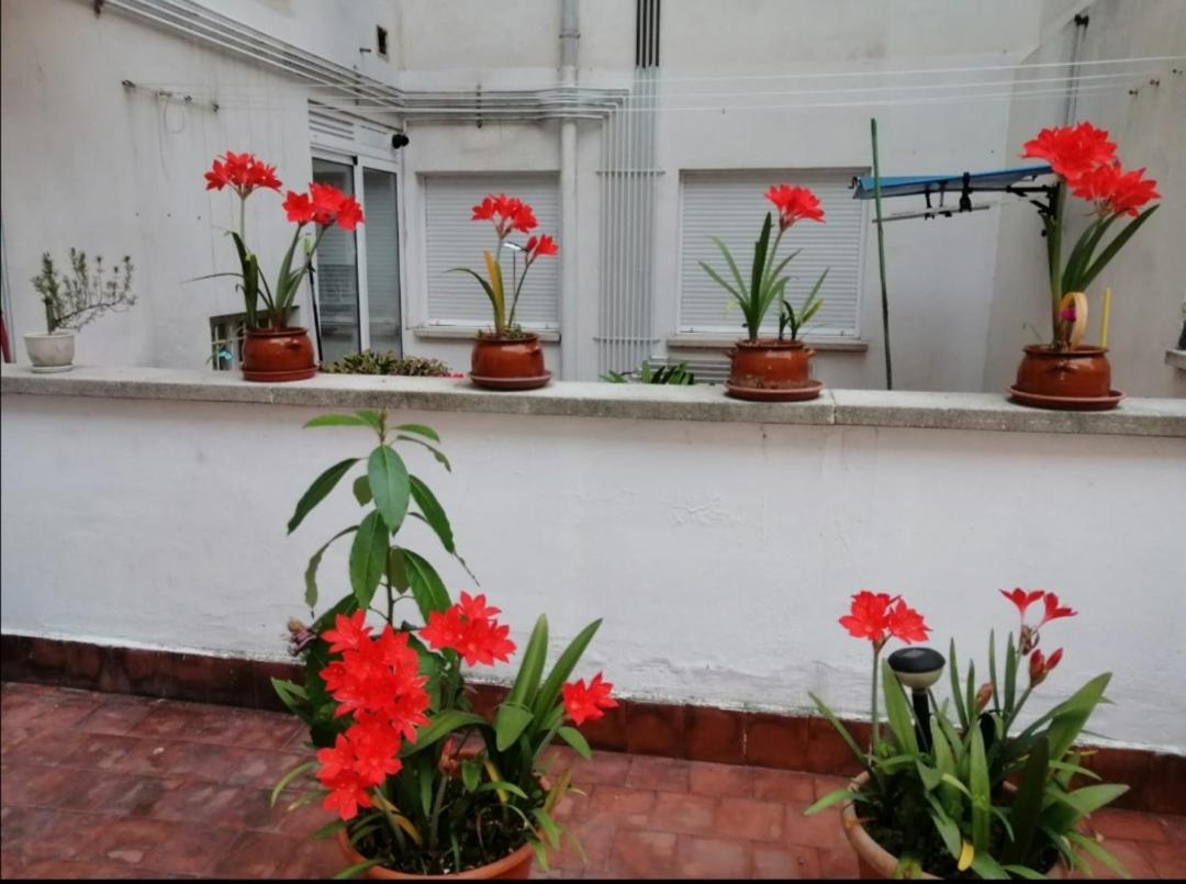 Apartamento Colores