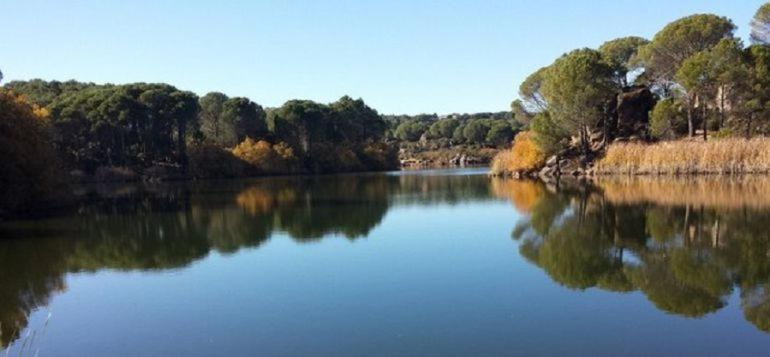 Aljaral, Espectacular,piscina,chimenea, Climatización, Wifi *