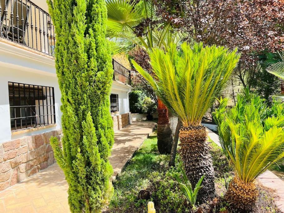 Aljaral, Espectacular,piscina,chimenea, Climatización, Wifi Сasa de vacaciones