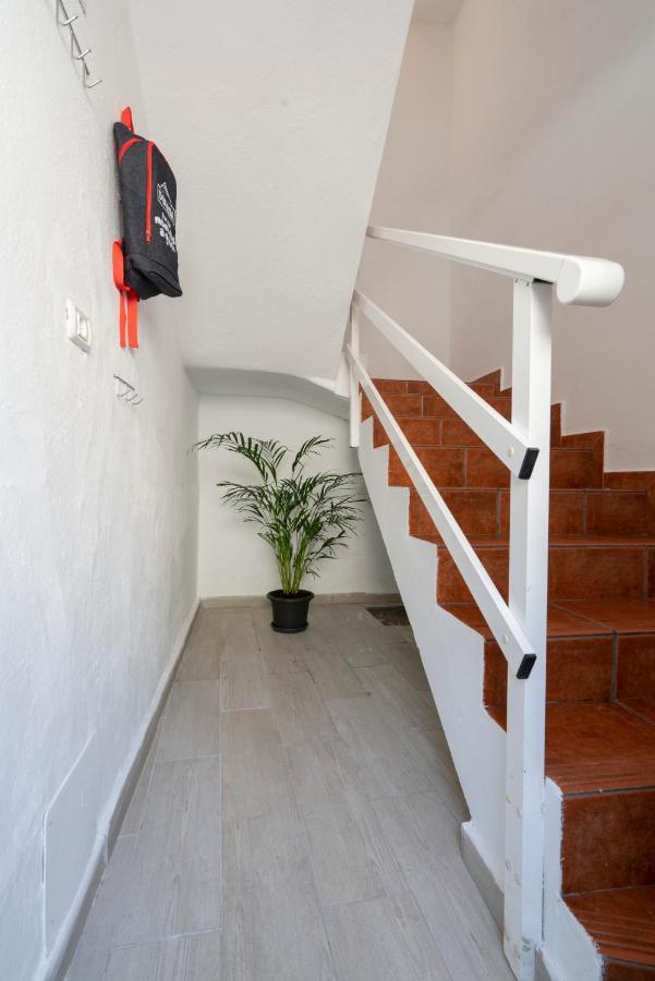 Spacious House With Huge Terrace Facing The Sea Bocacangrejo