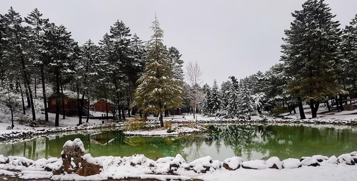 Zafiro Lagunazo Casa Diamante 5 Dorm 3 Baños Parque Natural Riomundo