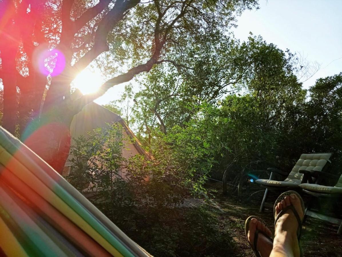 Tulpa Cadiz Campsite