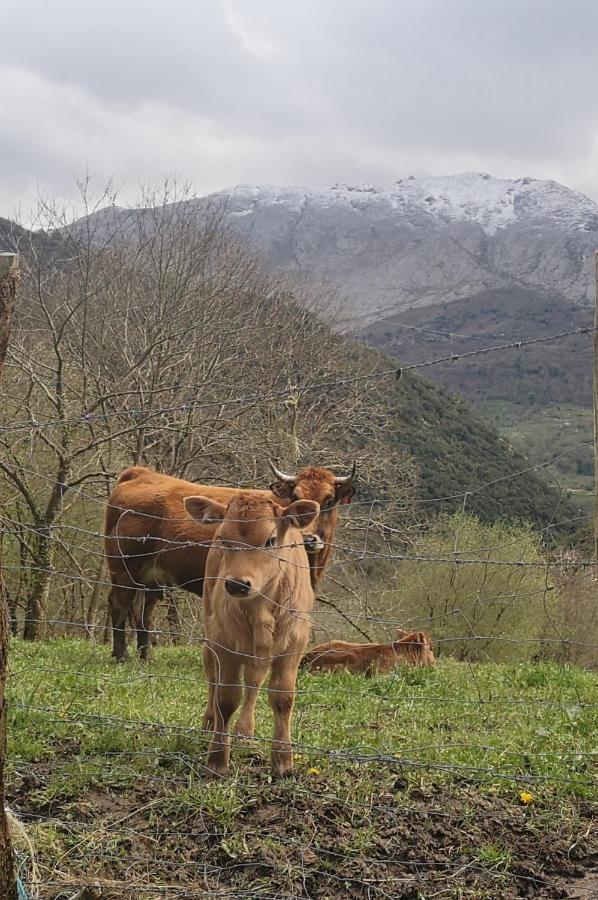 Casa Rural El Cau *