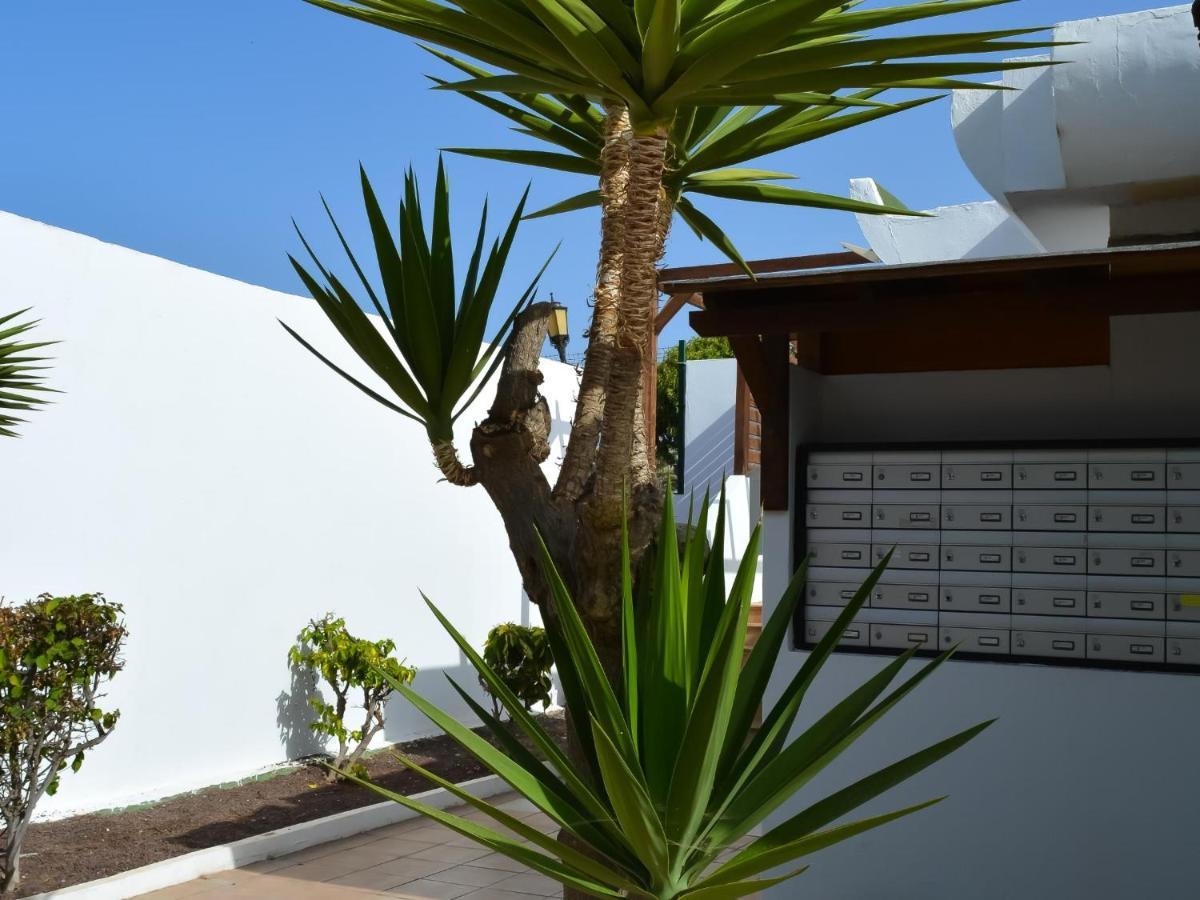 Apartamento Dunasol 341 Corralejo