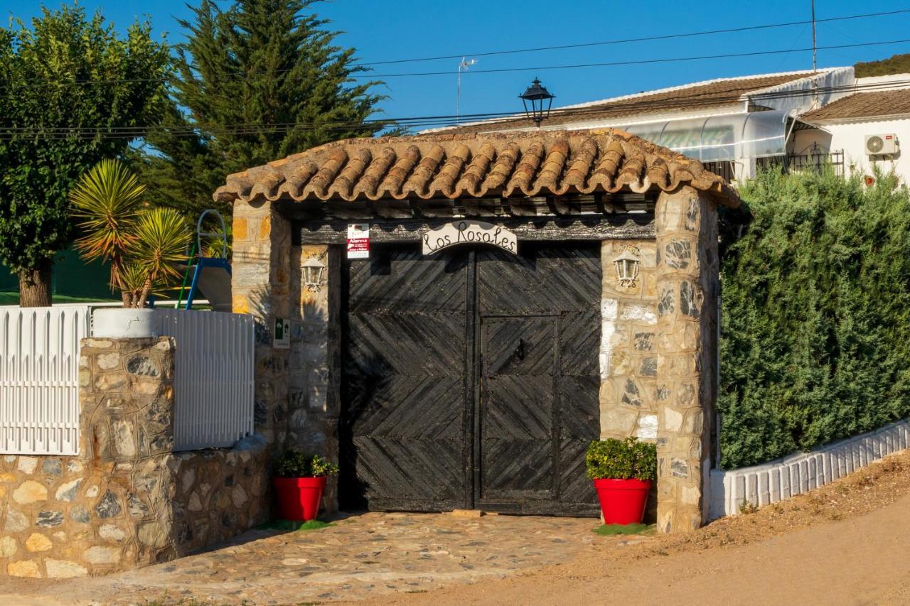 Rosales Puerto Lápice