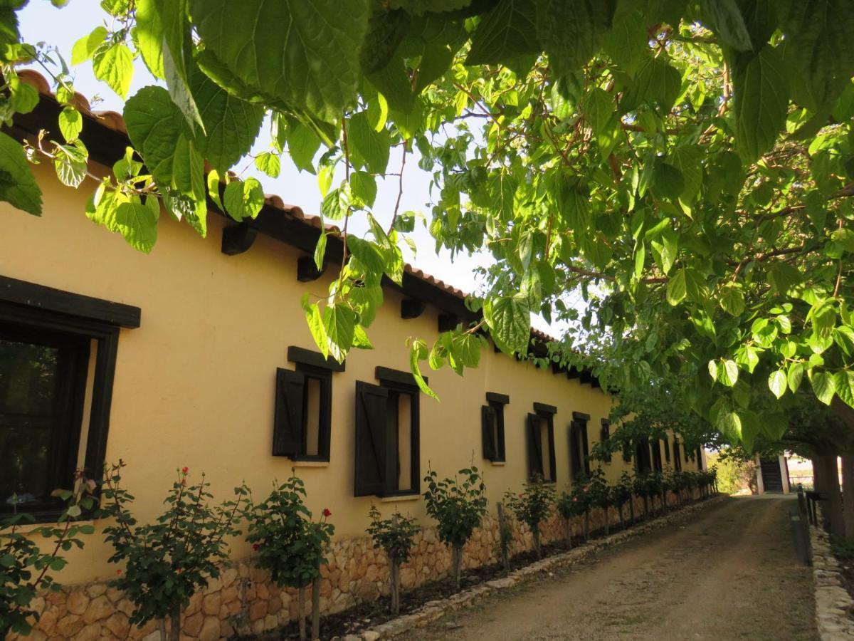 Hotel Enoturismo Mainetes Fuente-Alamo (Castilla-La Mancha)