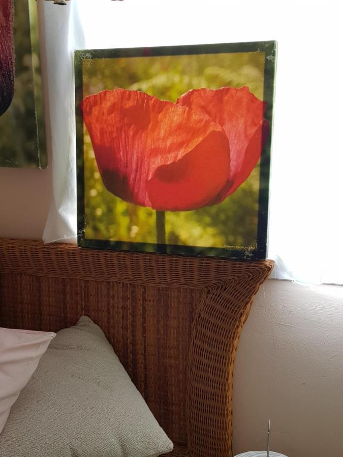 The Poppies 100m - Private Bathroom - Welcome Cava Pensión Candelaria