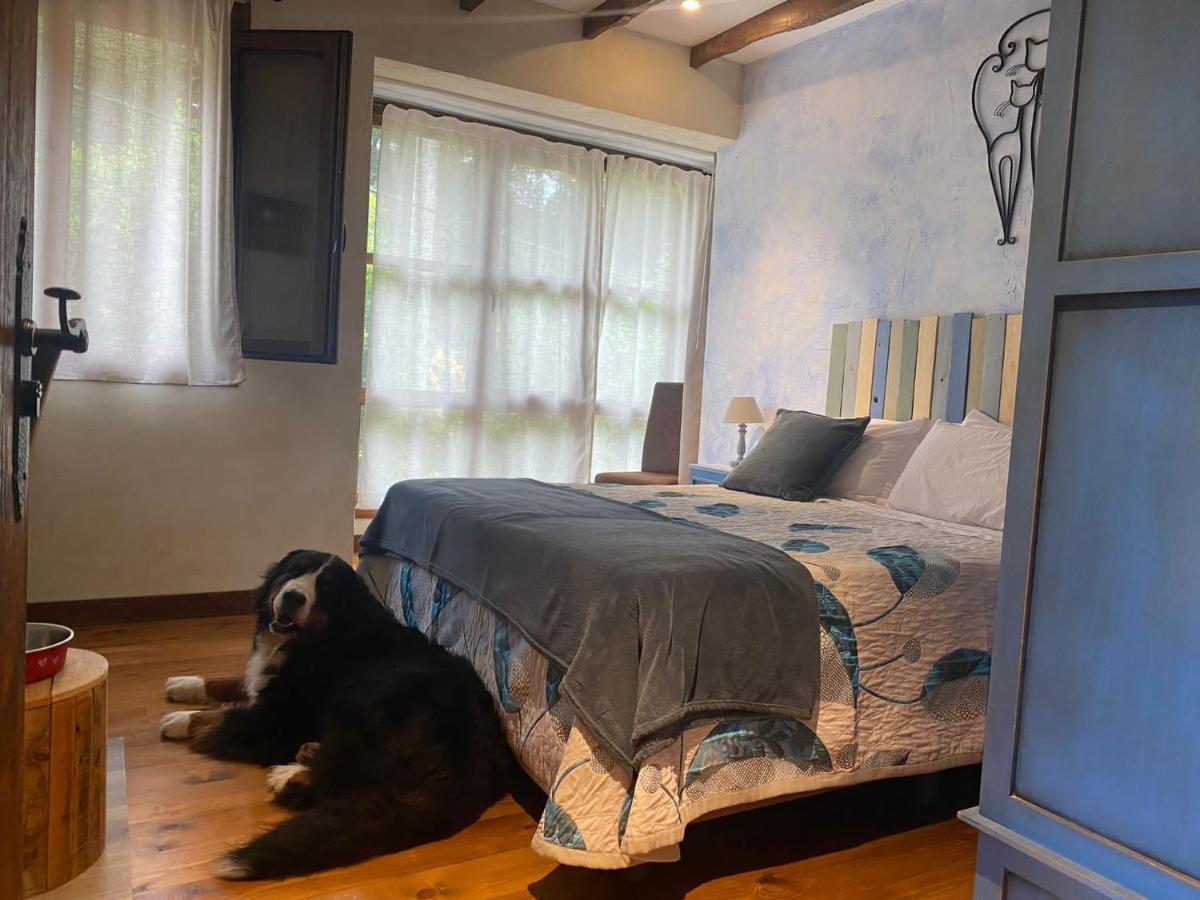 Pet Friendly El Molino De Cantabria Inn Entrambasaguas (Entrambasaguas)