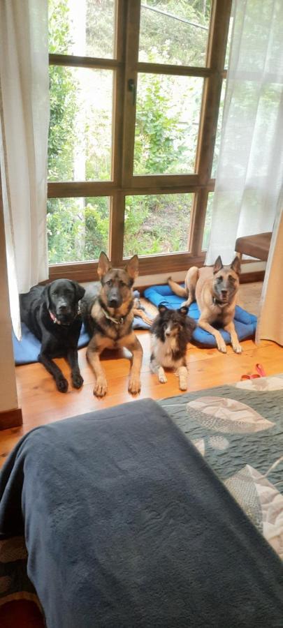 Pet Friendly El Molino De Cantabria