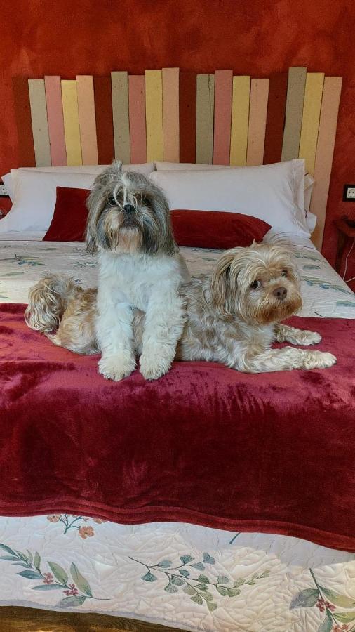 Inn Pet Friendly El Molino De Cantabria *
