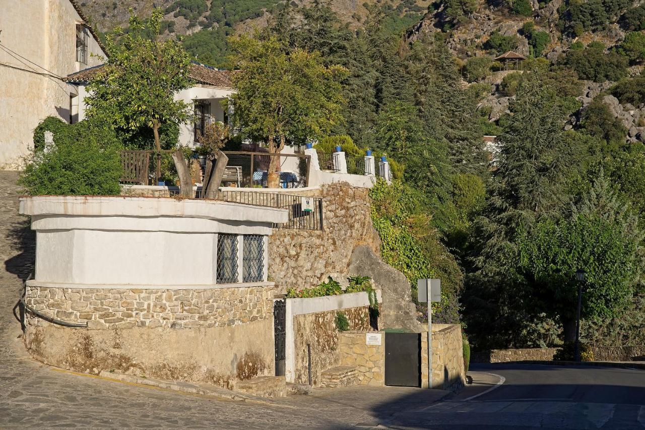 Don Claudio * Grazalema