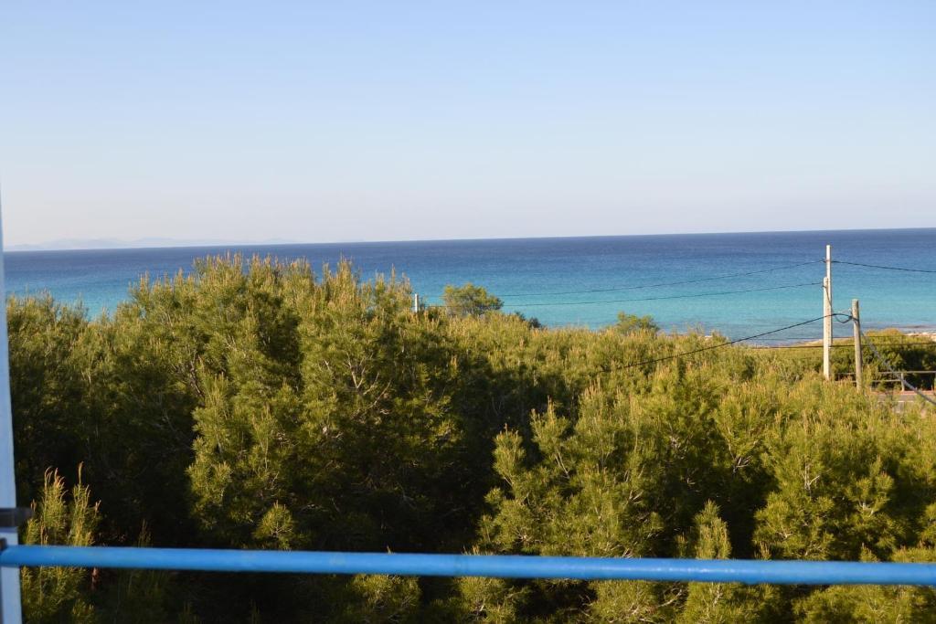 Apartamento Cas Xurrac Es Caló