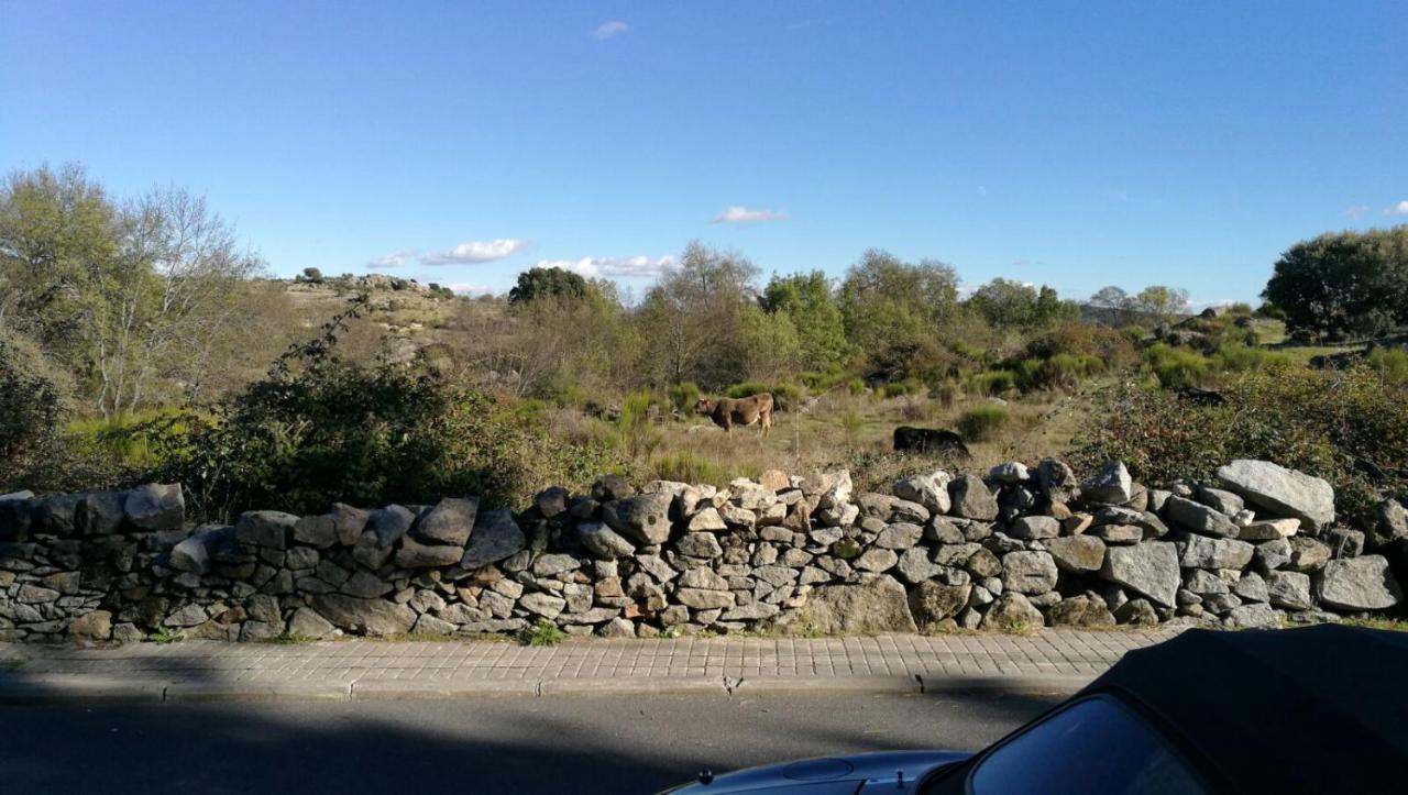Sierra Guadarrama - La Ponderosa Pon351 Сasa de vacaciones *