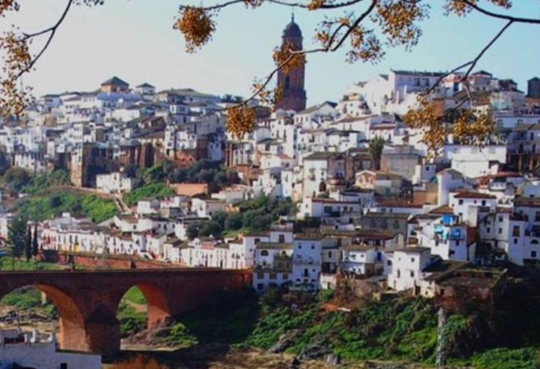 La Plazuela, Casa Andaluza Con Patio. *