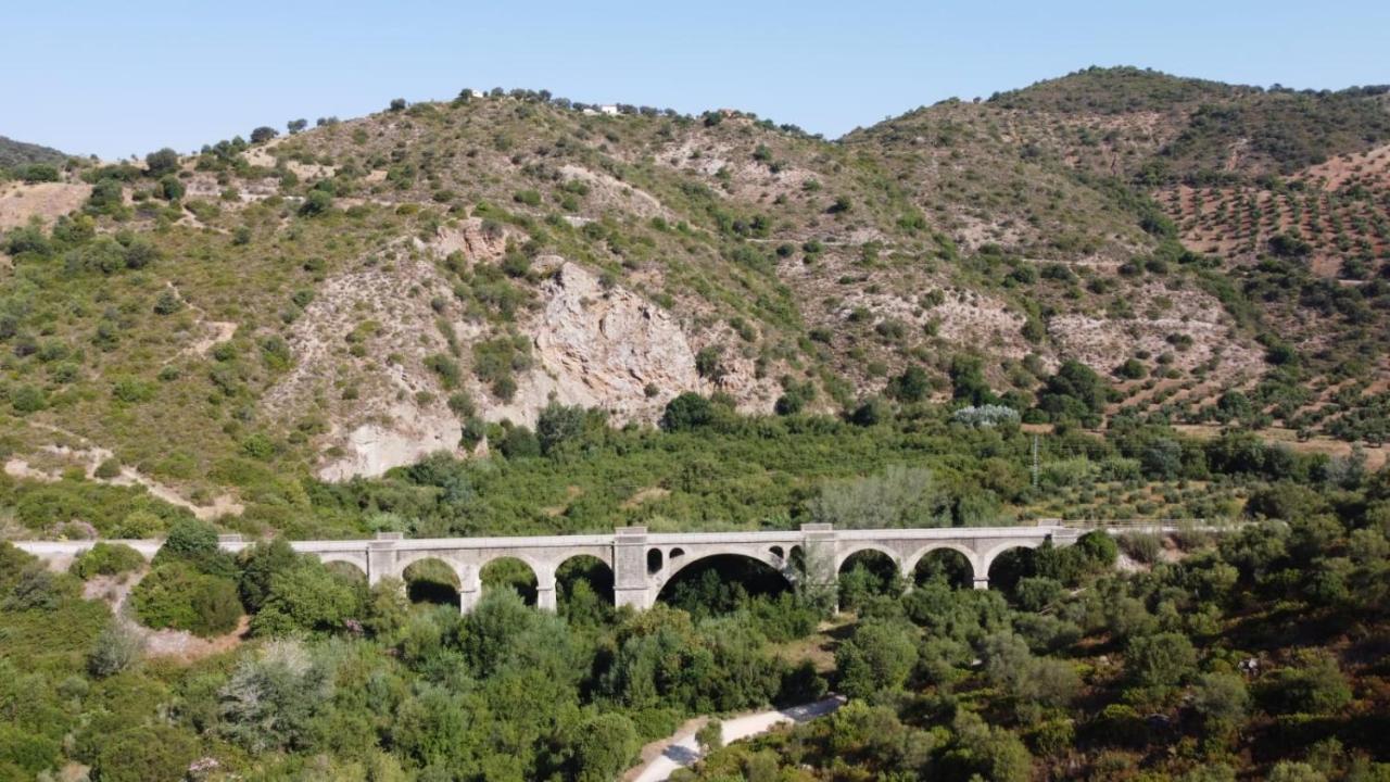 Estación De