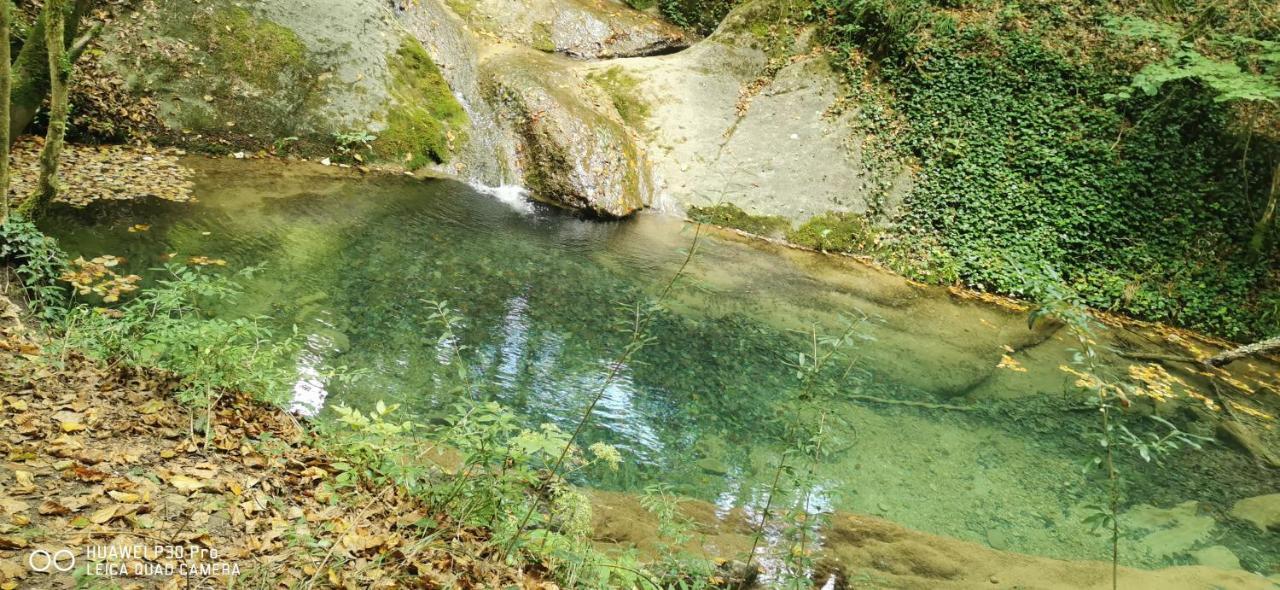 Allotjaments Rurals Punti Vallfogona de Ripolles