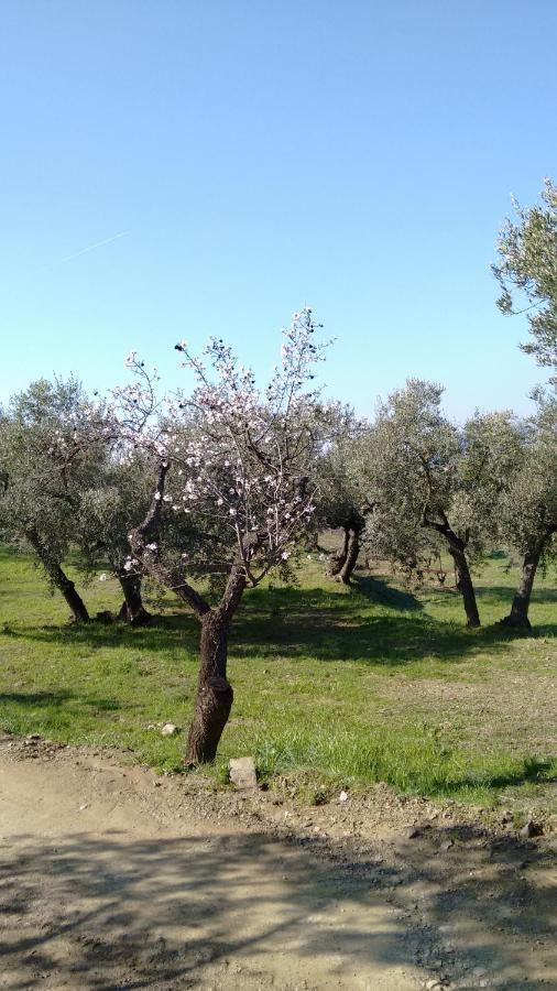 Holiday home Cal Joanet, Acollidora Caseta A *