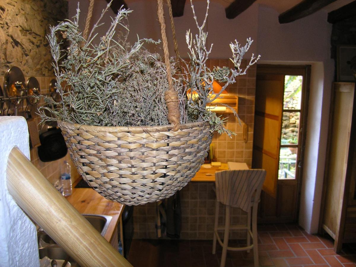 Cal Joanet, Acollidora Caseta A Holiday home *