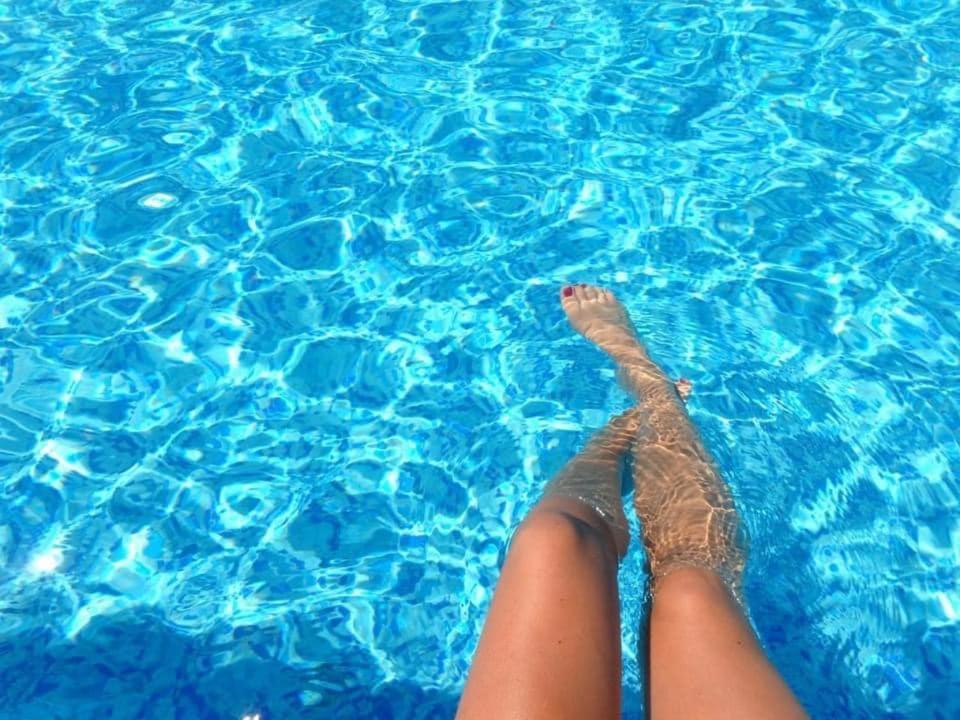 Con Piscina Viajar Con Mascota *