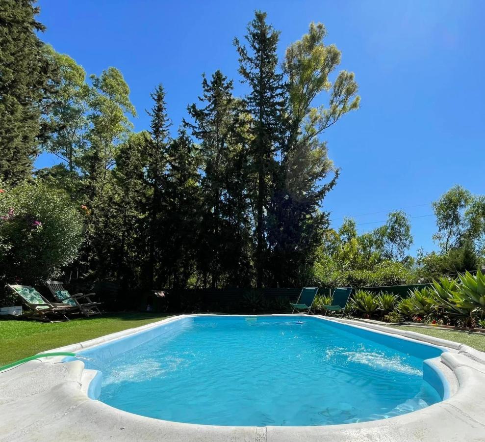 Chalet Con Piscina Viajar Con Mascota