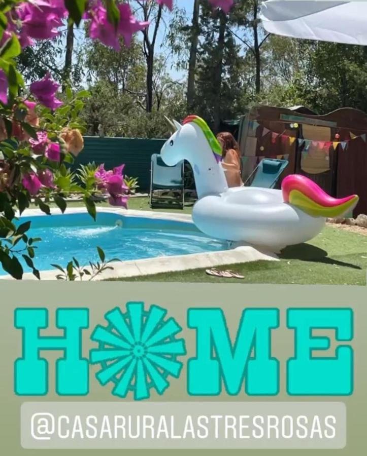 Con Piscina Viajar Con Mascota Gaucin
