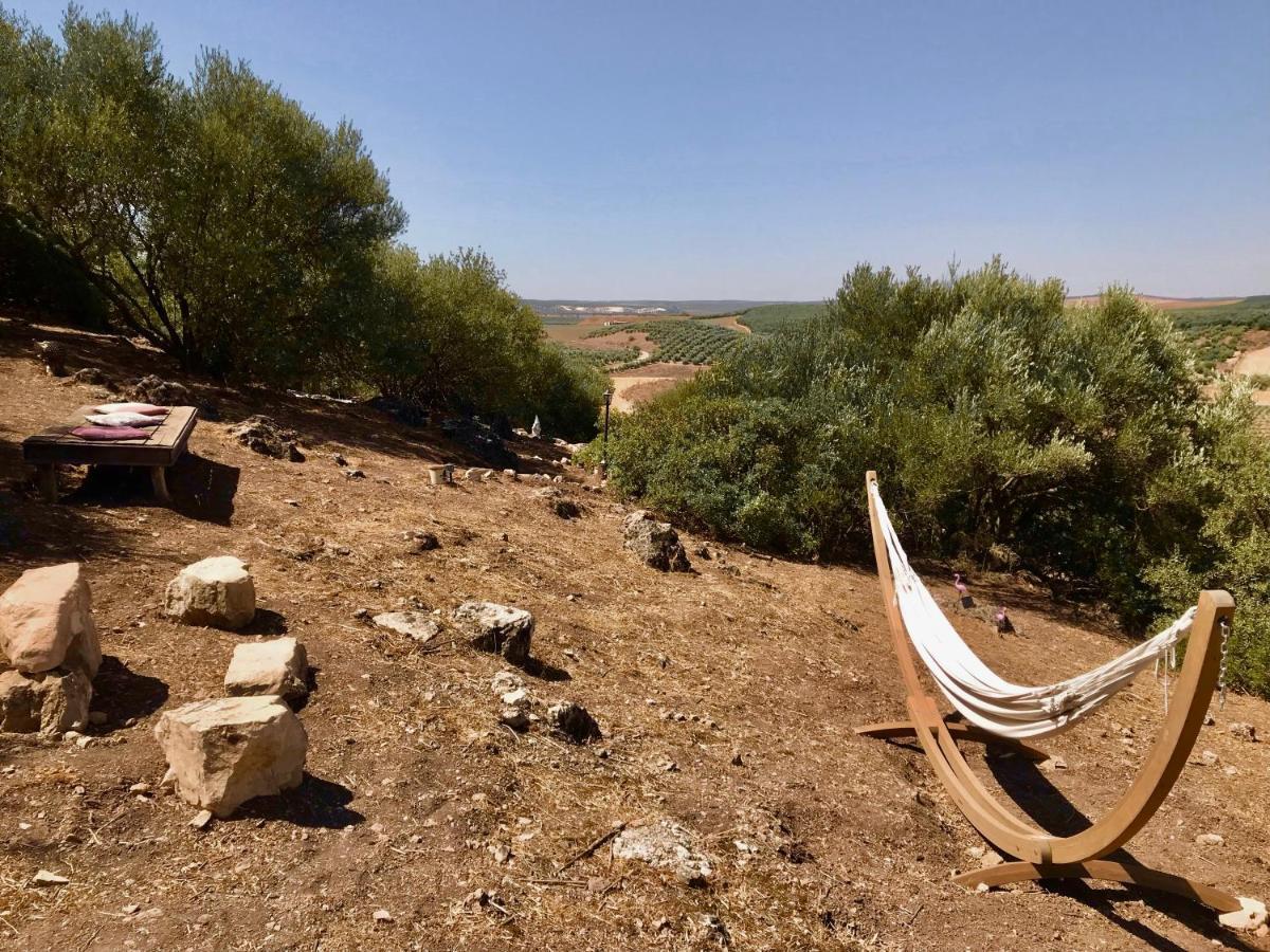 In - Beautiful At The Heart Of Andalusia