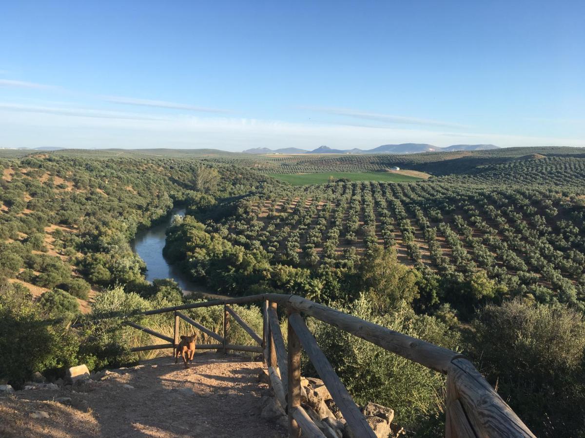 In - Beautiful At The Heart Of Andalusia
