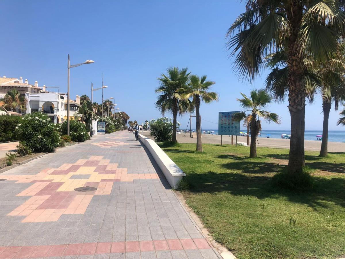 Andaluz - Laguna