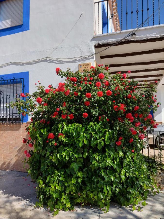 Del Jucar Holiday home La Gila